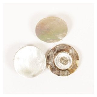 Concha Nácar hebilla